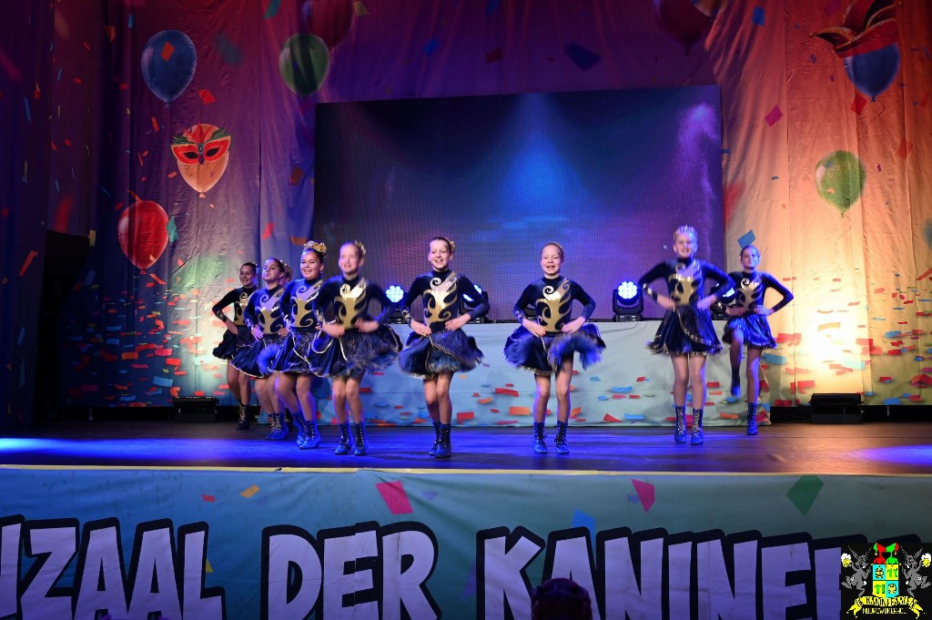 ../Images/Dansmarieke festival 2024 057.jpg